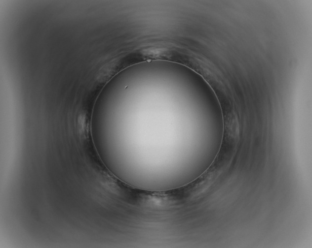 X0000111930420200908031122