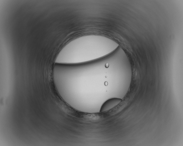 X0000111930421200908031122