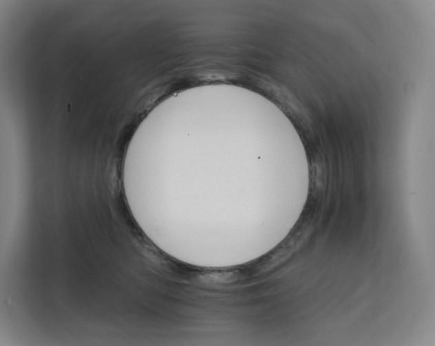 X0000111930422200908031122