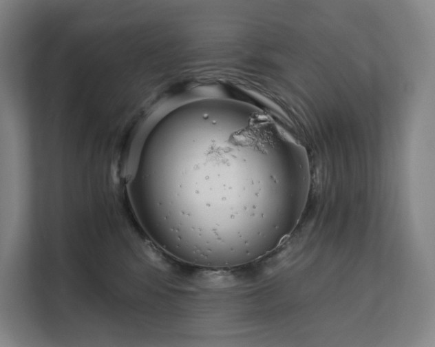 X0000111930424200908031122