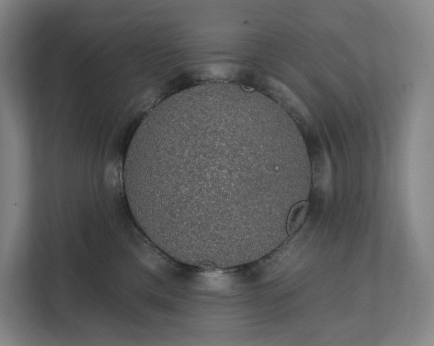 X0000111930425200908031122