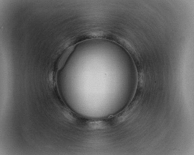 X0000111930428200908031122