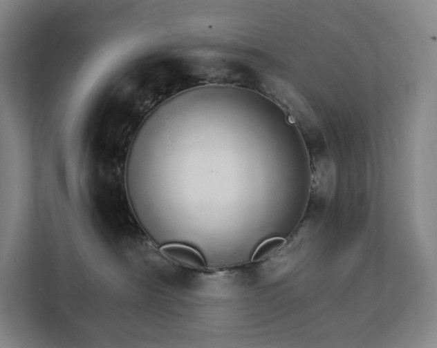 X0000111930430200908031122