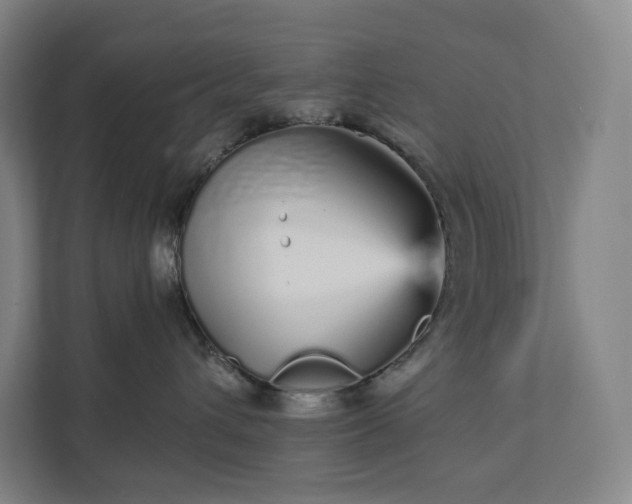 X0000111930432200908031122