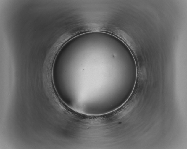 X0000111930433200908031121