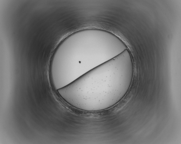 X0000111930434200908031121