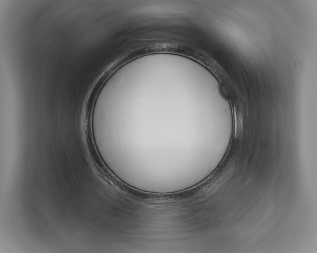 X0000111930435200908031121