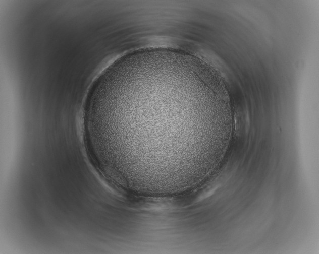 X0000111930436200908031121