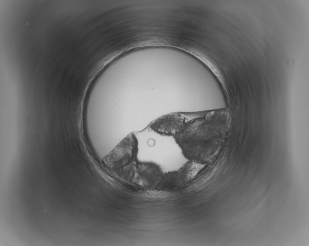 X0000111930437200908031121