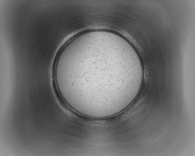 X0000111930438200908031121