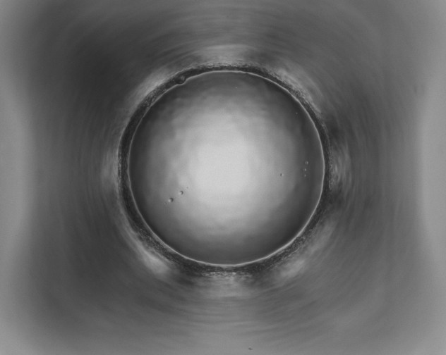 X0000111930439200908031121