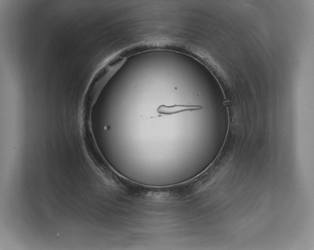 X0000111930440200908031121