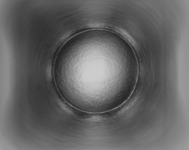 X0000111930441200908031121