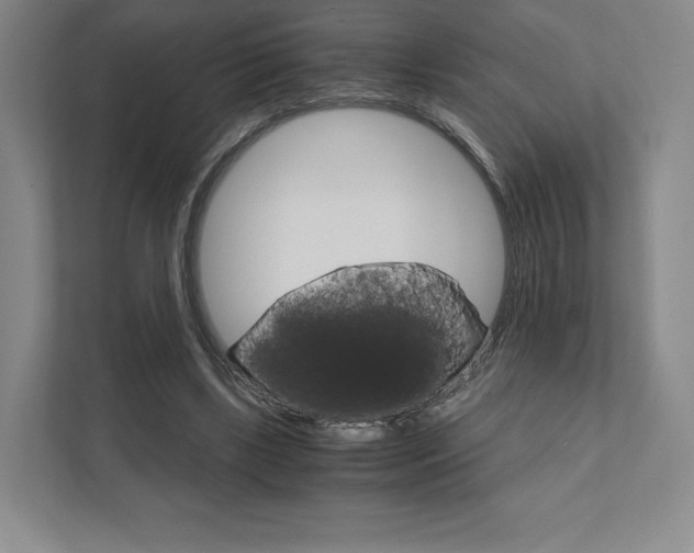 X0000111930443200908031121