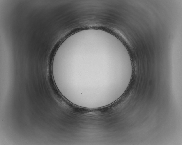 X0000111930447200908031121