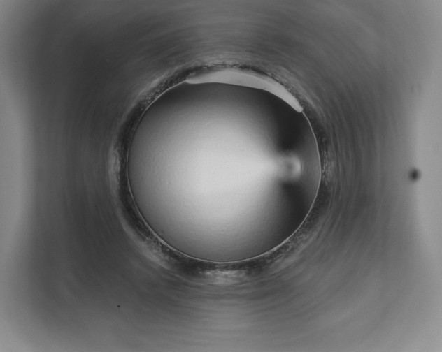 X0000111930448200908031121