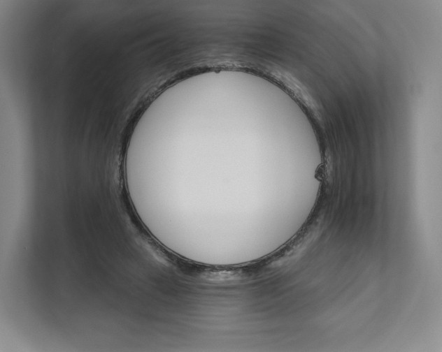 X0000111930449200908031121