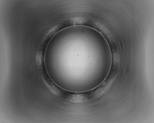 X0000111930451200908031121