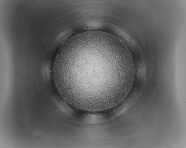 X0000111930455200908031121