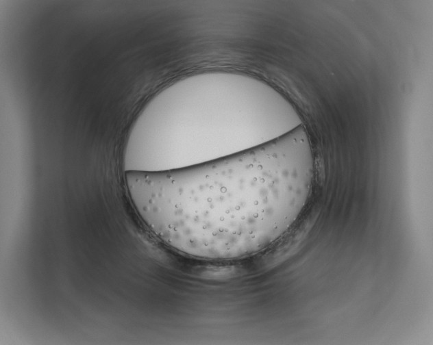 X0000111930458200908031121