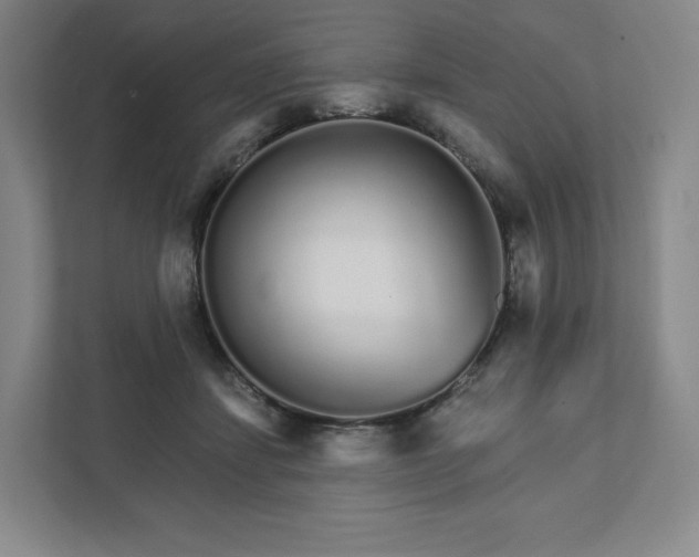 X0000111930459200908031121