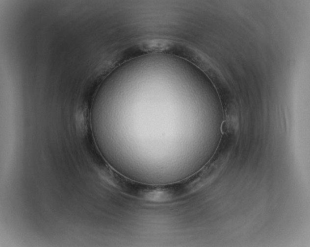 X0000111930460200908031121