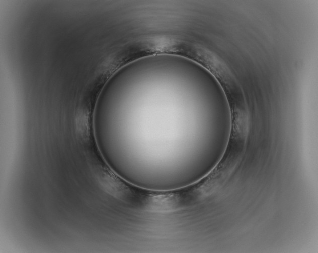 X0000111930461200908031121