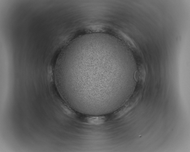 X0000111930465200908031121