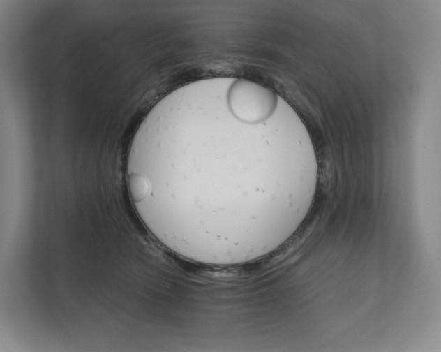 X0000111930466200908031121