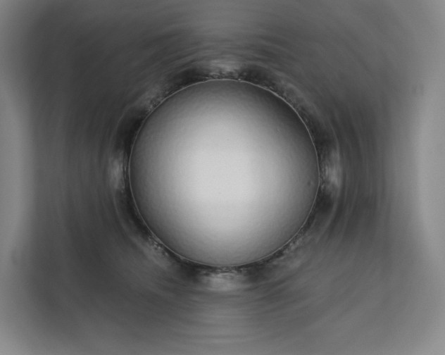 X0000111930468200908031121