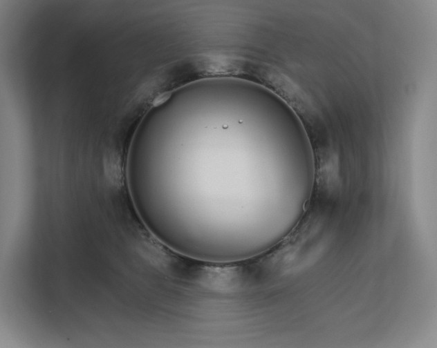 X0000111930469200908031121