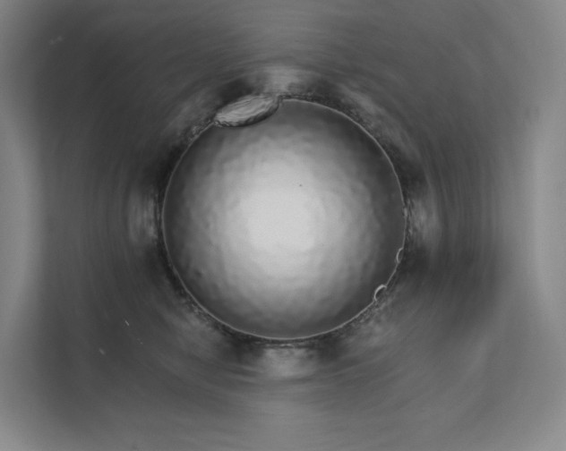 X0000111930470200908031121