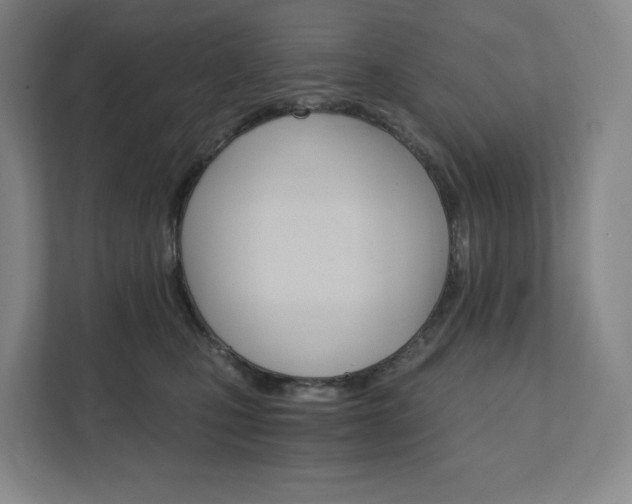 X0000111930471200908031121