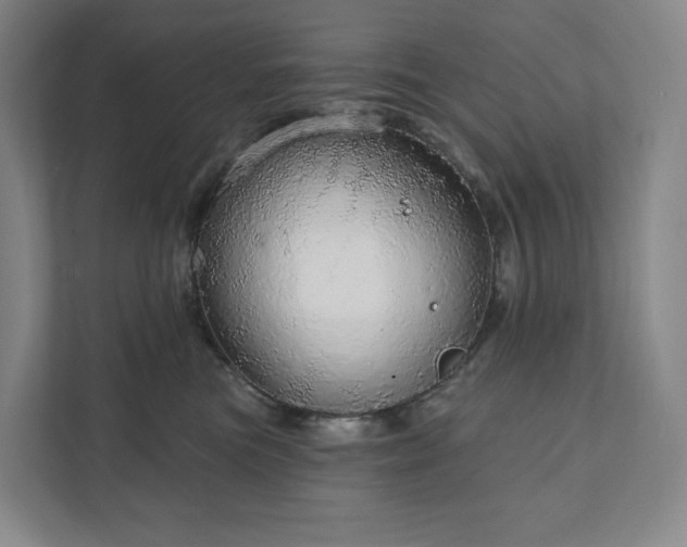 X0000111930473200908031121