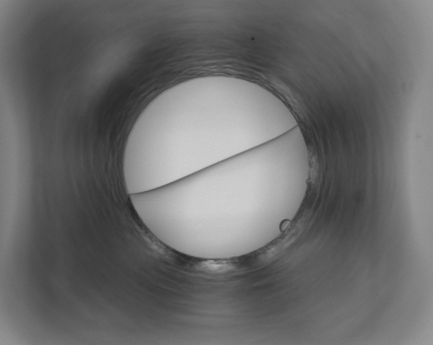 X0000111930477200908031122