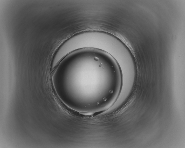 X0000111930481200908031121