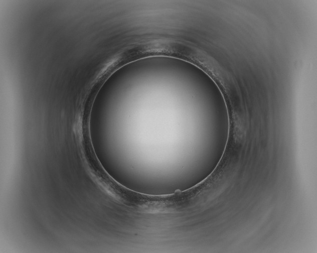 X0000111930482200908031121