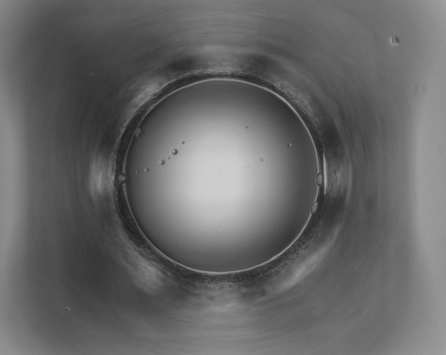 X0000111930483200908031121