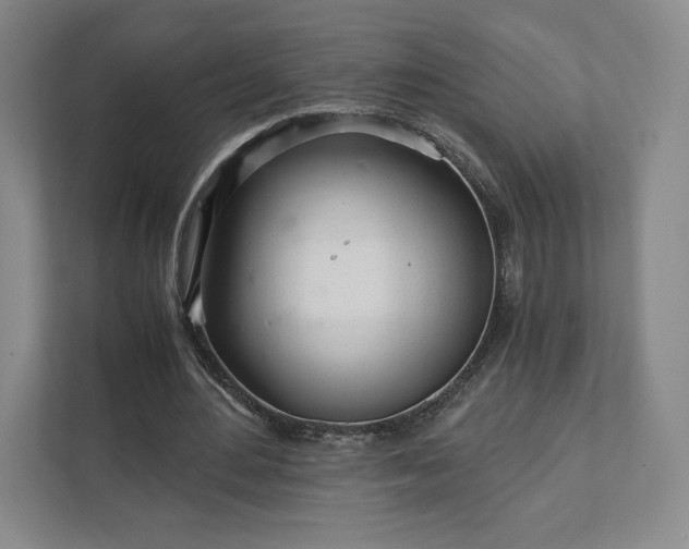 X0000111930484200908031121