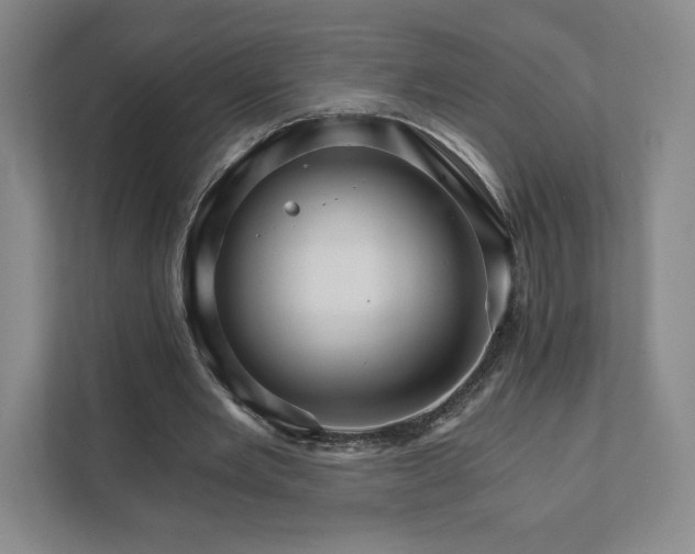 X0000111930485200908031121