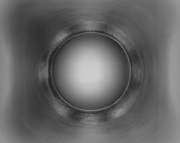 X0000111930486200908031121