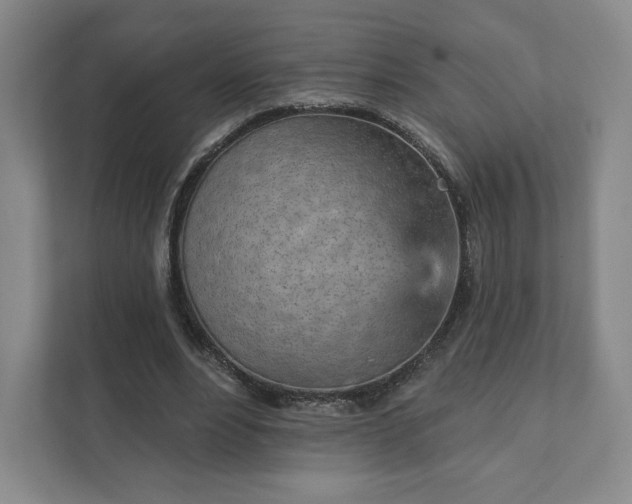 X0000111930488200908031121