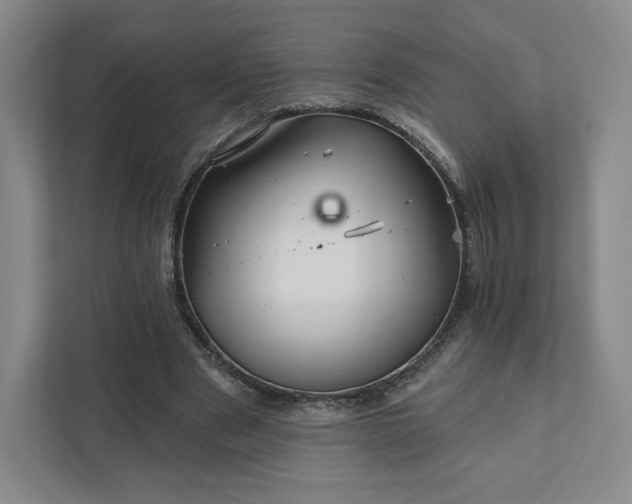 X0000111930489200908031121