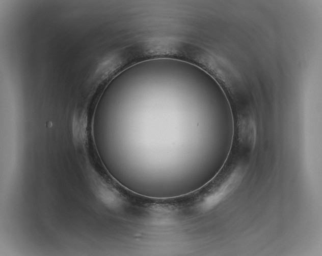 X0000111930490200908031121