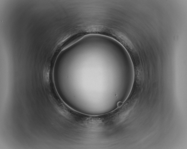 X0000111930491200908031121