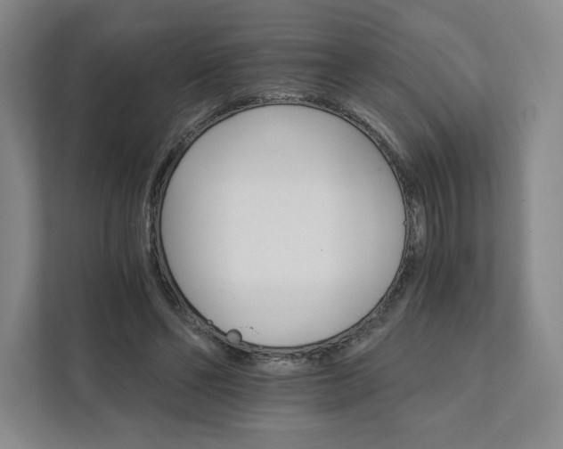 X0000111930494200908031121