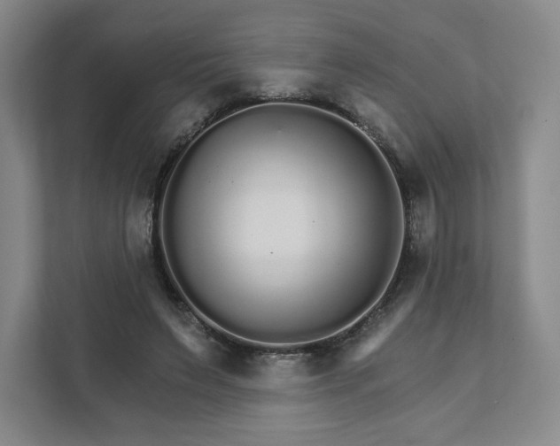 X0000111930495200908031121