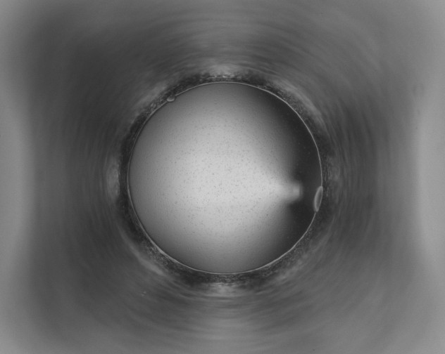 X0000111930496200908031121