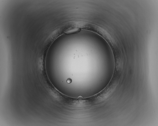 X0000111930497200908031121