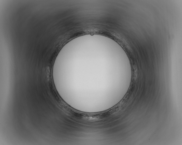 X0000111930498200908031121